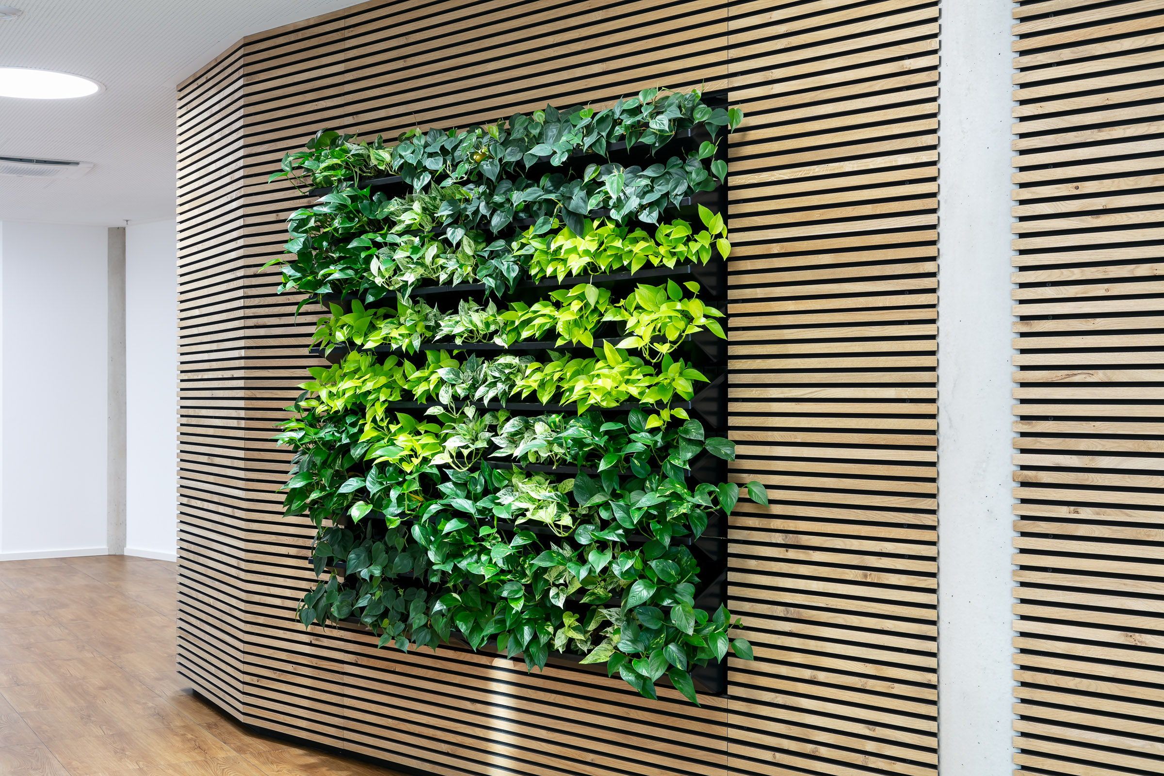 SEW Living Wall